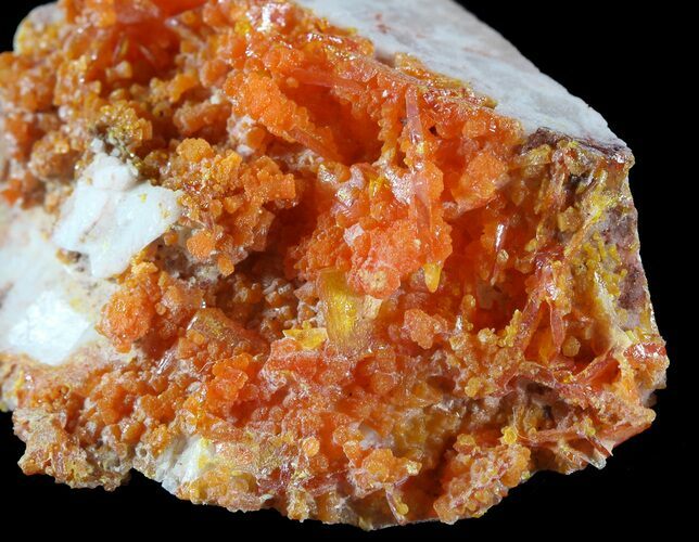 Bright Orange Wulfenite Cluster - Rowley Mine, AZ #49322